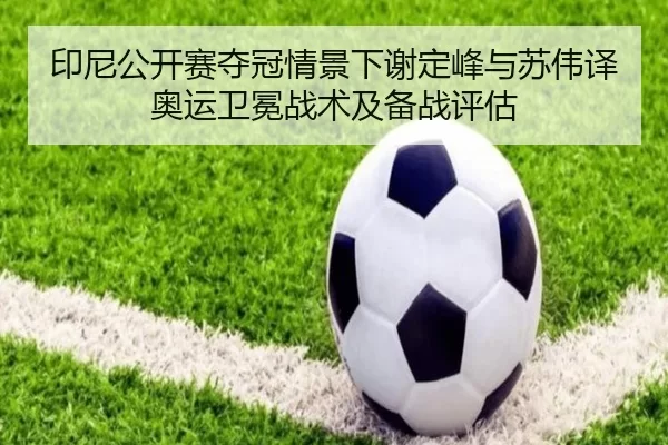 印尼公开赛夺冠情景下谢定峰与苏伟译奥运卫冕战术及备战评估